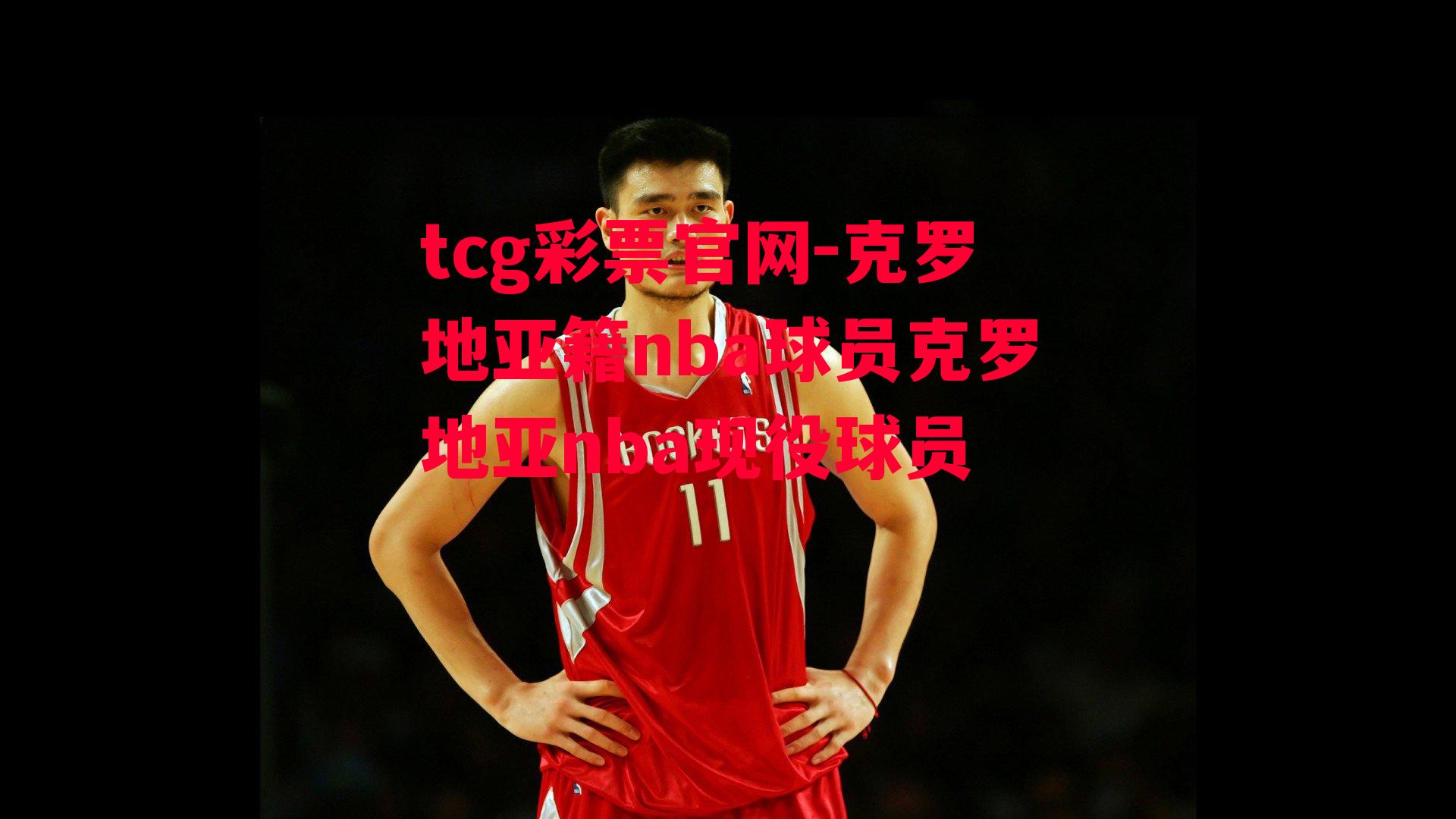 tcg彩票官网-克罗地亚籍nba球员克罗地亚nba现役球员